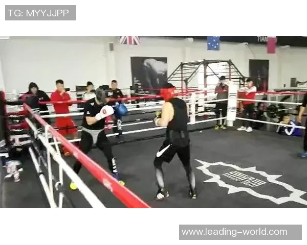 精彩纷呈的vs网拳击直播视频全程回放与精彩瞬间分享