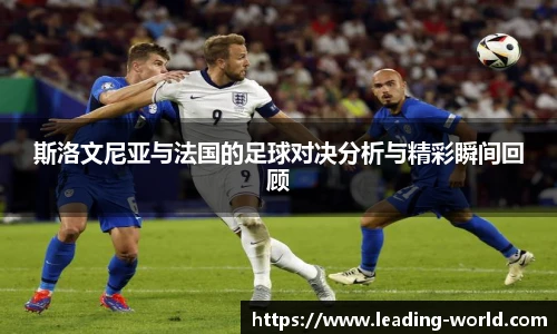 im电竞官网入口