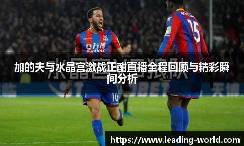 im电竞官网入口